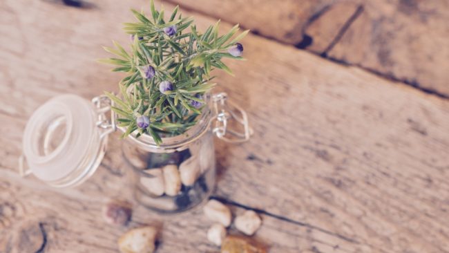 ty poul café associatif déco bouquet