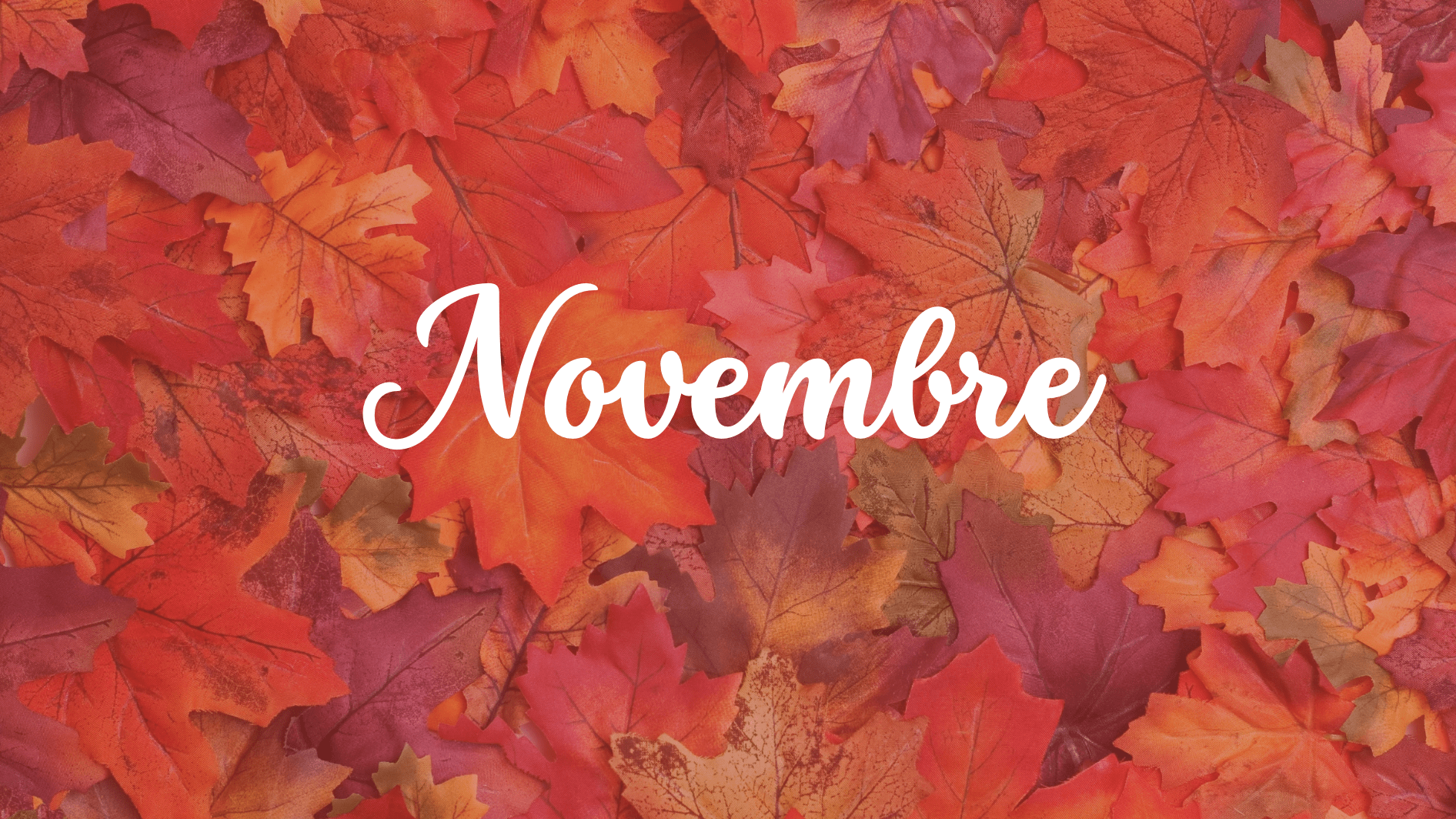 novembre-25-typoul