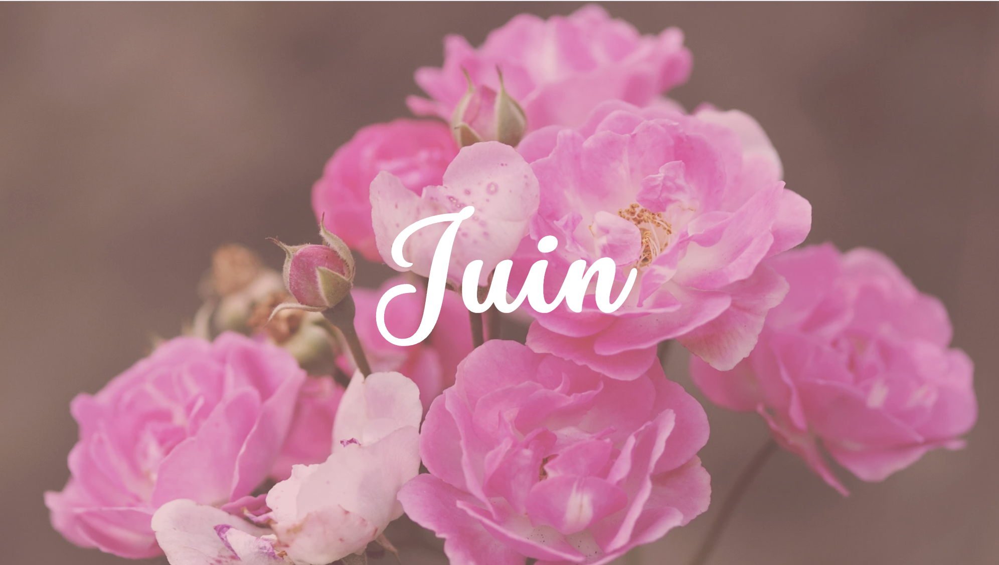 typoul-juin26